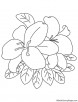 Easter lily coloring page