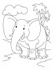 Elephant in the jungle coloring page