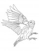 European goldfinch coloring page