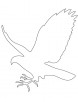 falcon in outline coloring page