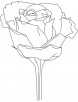 Flat rose coloring page