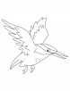 Flying kingfisher coloring pages