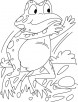 Startling frog coloring pages
