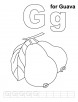 G for guava coloring page with handwriting practice 