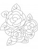 Gardenia Flower Coloring Page