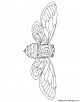 Cicada Insect Coloring Page