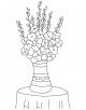 Gladiolus Flower Coloring Page