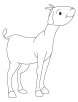 Goat kid coloring page