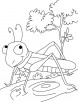 The show-stopper-Grasshopper coloring pages
