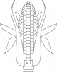 Sweet corn coloring page
