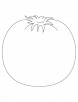 Growing tomato coloring page