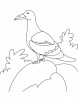 A gull bird is sitting on the rock coloring page