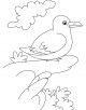 Gull Coloring Page