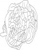 Healthy cauliflower coloring page