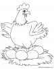 Hen Coloring Page