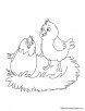 Hen coloring page 24