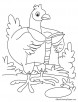 Hen reading book coloring page