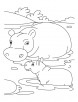 Baby hippo with mother hippo coloring pages