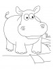 Funny hippopotamus coloring pages