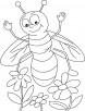 Jasmine or Lavender, honeybee everywhere coloring pages