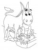 Honking donkey coloring page