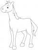 Horse colt coloring page