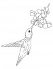 Hummingbird and flower coloring pages