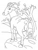 Ibex on top coloring pages