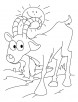 Ibex walking on sunny day coloring pages