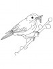 Insects in the beak coloring page