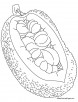Jackfruit and big seeds coloring pages
