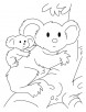 Koala with joey coloring pages