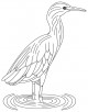 Heron Bird Coloring Page