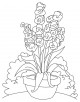 Gladiolus Flower Coloring Page