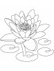 National flower of india coloring page