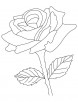 Ornamental rose coloring page