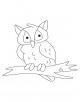 Owl Coloring Page