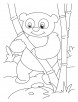Bamboo lover panda coloring pages