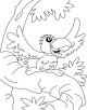 Parrot Coloring Page Parrot Coloring Page