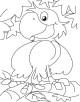 Parrot Coloring Page Parrot Coloring Page