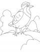Partridge Coloring Page