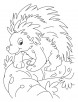 Balancing porcupine coloring pages