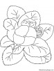 Primrose with leaves coloring page