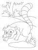 whistling raccoon coloring pages