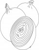 Onion Coloring Page