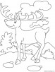Reindeer at cloud seven coloring page