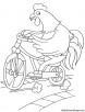 Rooster cycling coloring page