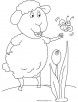 Sheep and butterfly coloring page