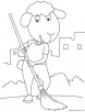 Sheep cleaning the city coloring page