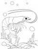 Shrimp under water coloring page